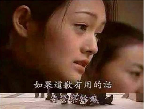 "如果道歉有用,要警察干嘛?"恕我愚钝,不明白编剧的逻辑关系.