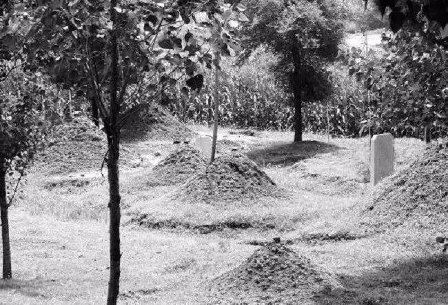 乞丐新坟偷吃祭品, 棺中婴儿哭声吓惊魂, 打开棺材一瞬间看到了?