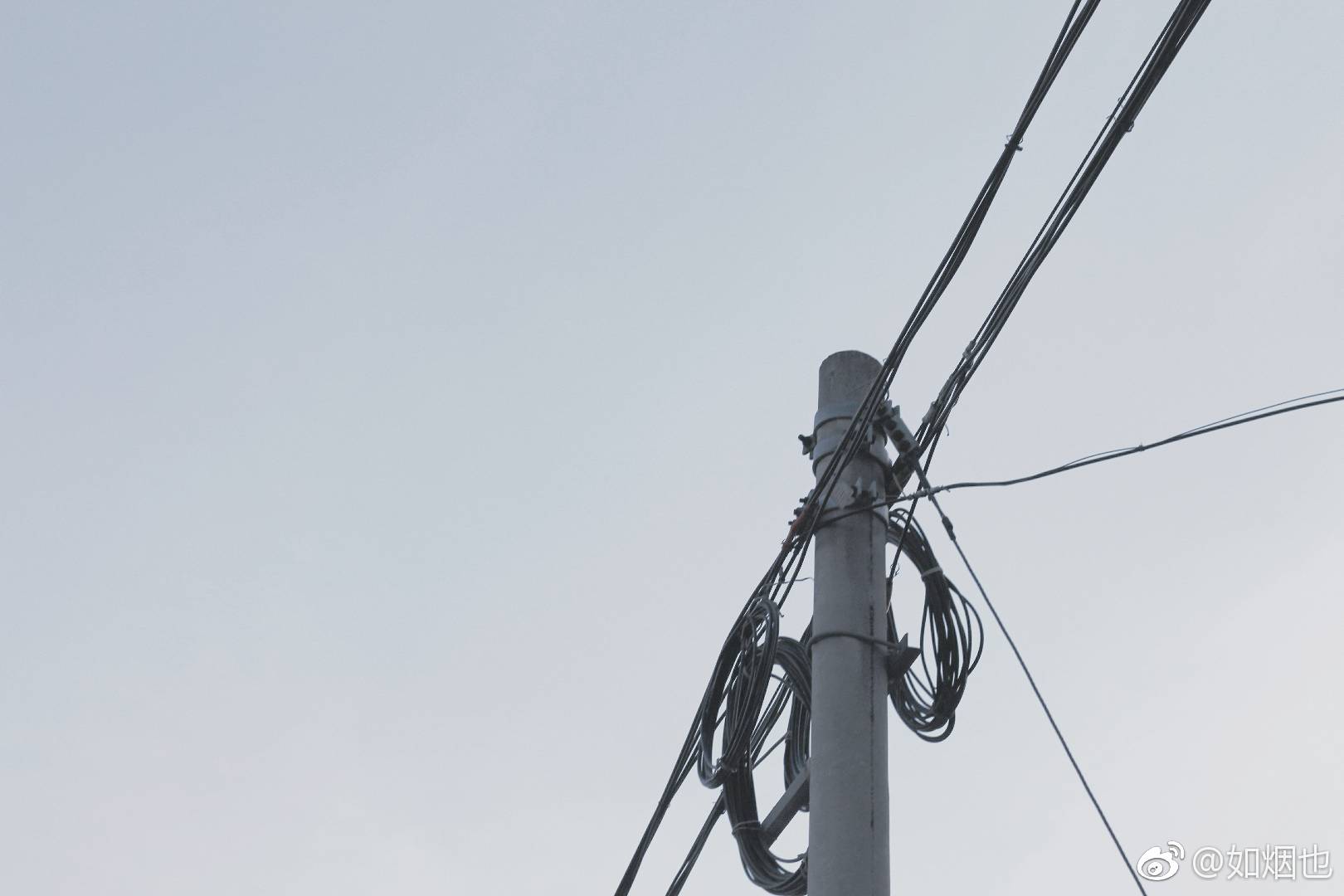 而长野的天 依旧这么暖 风吹起了从前