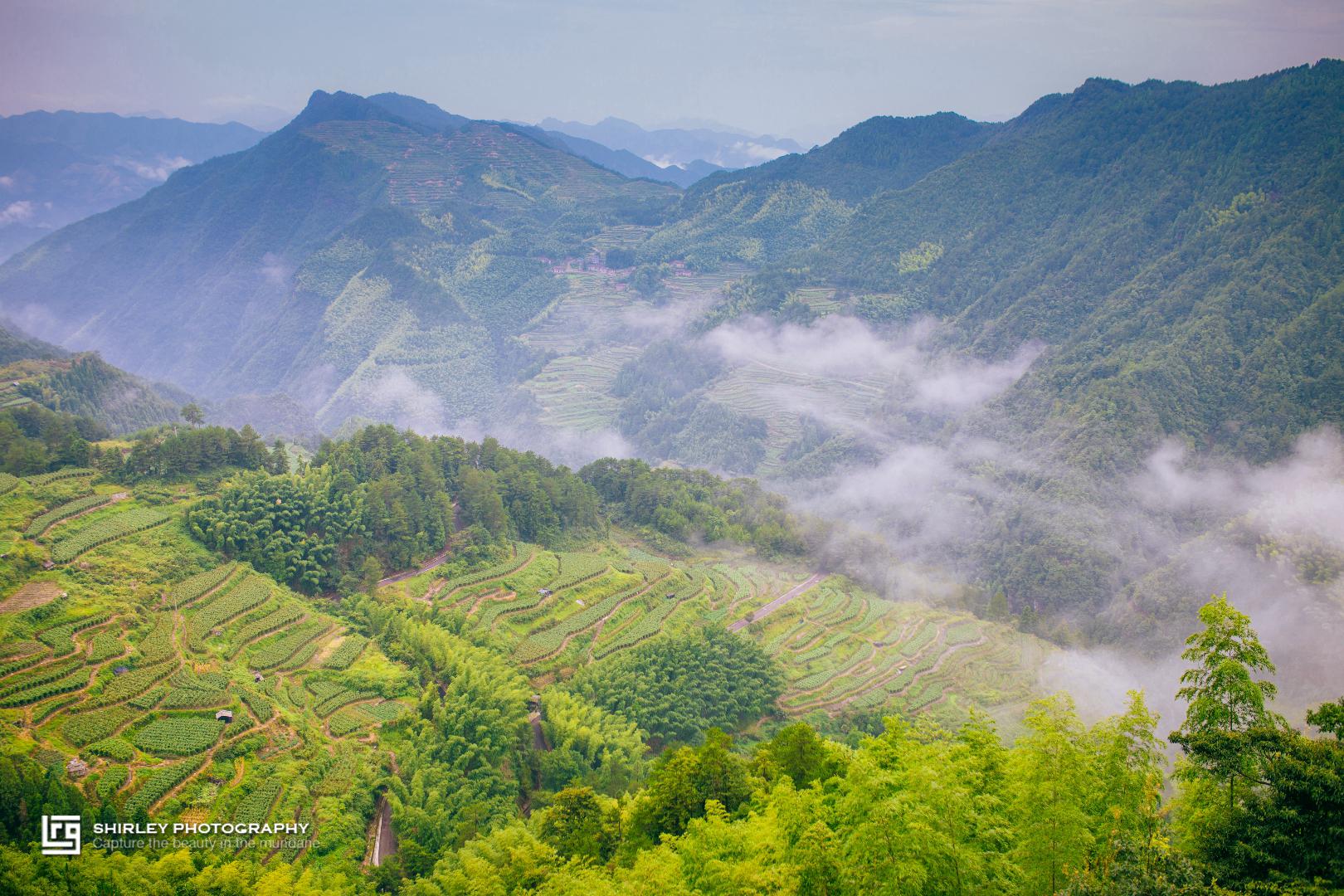 南尖岩,无疑是来遂昌必打卡的地方之一|南尖岩|遂昌|江南丘陵_新浪
