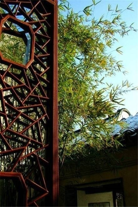 一夜春雨绵绵雾,莺歌燕舞新芽露.西楼疏寒煮酒度,惹断红拂花无数.