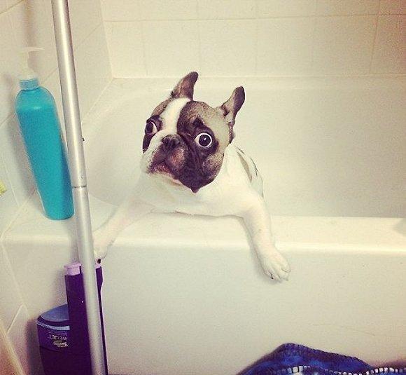 简直跟换了一个人似的,有呆萌的,也有惊悚的,分分钟截成一个表情包