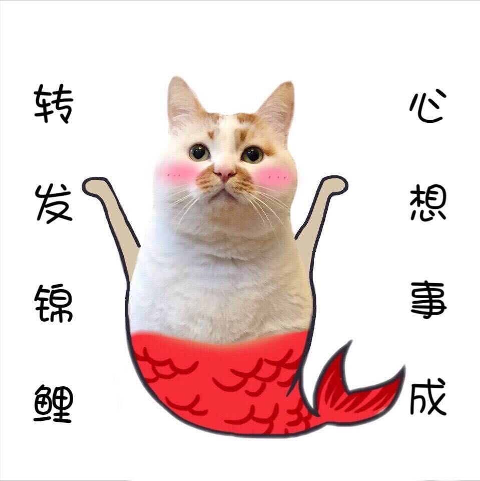 高考的小可爱们加油哦(296106906107)1277一定可以