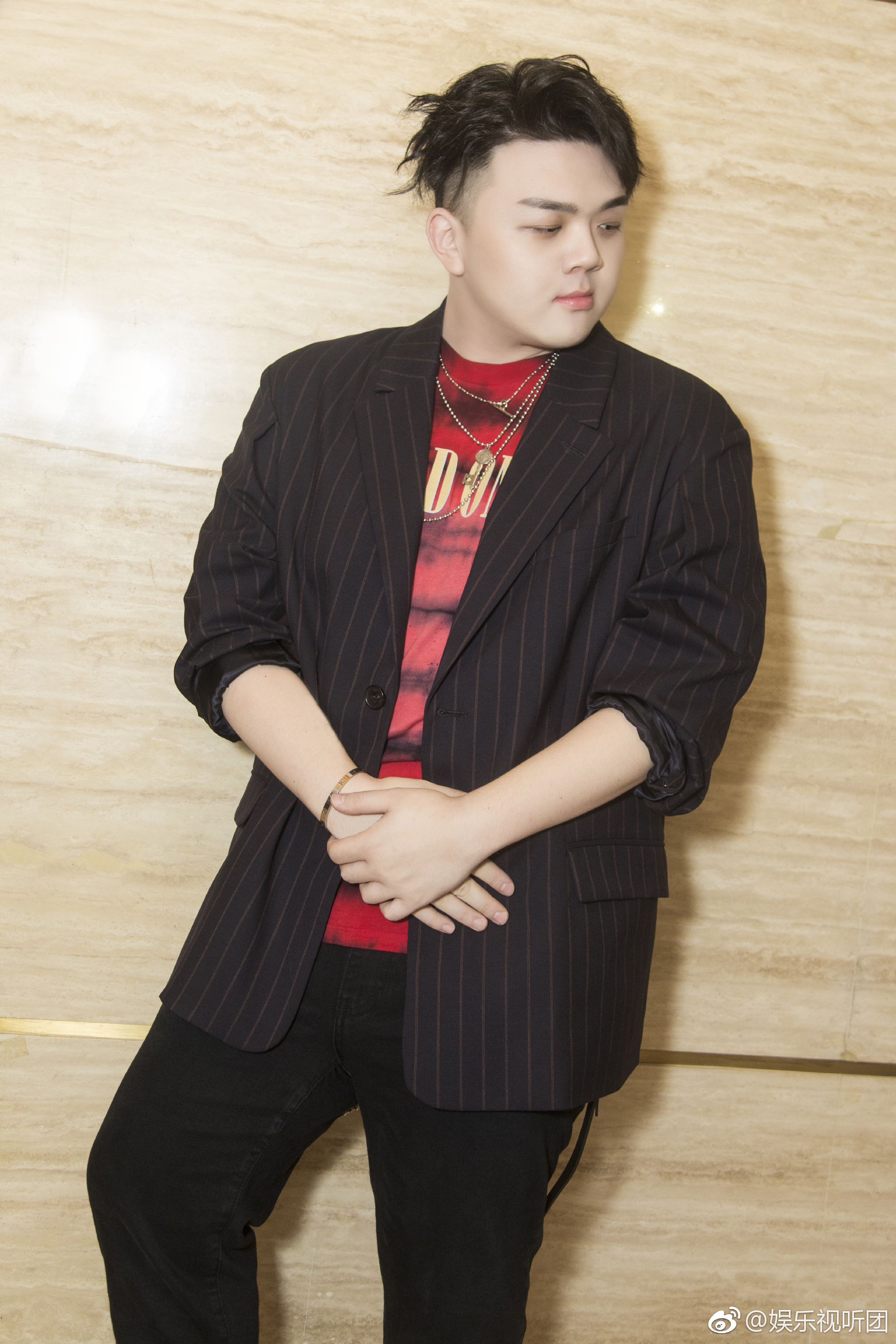 艾福杰尼华歌榜获奖