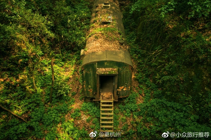 杭州亚细亚号火车在杭州一处隐蔽的树林中沉睡着一截亚细亚号火
