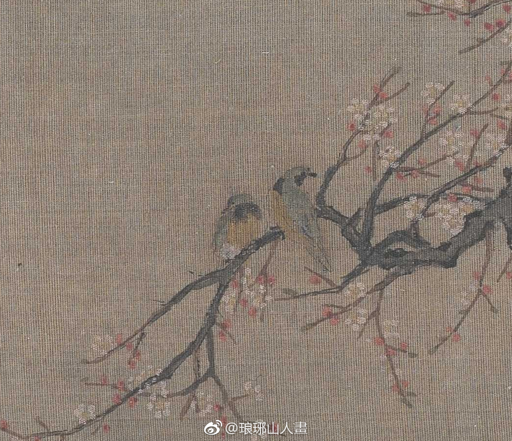 红梅孔雀图宋 佚名32x89厘米|孔雀图|红梅|佚名_新浪新闻