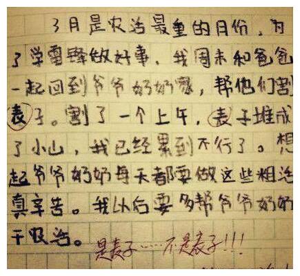 小学生最奇葩的作文,最后一篇太"污"了,让我笑出了猪叫声!