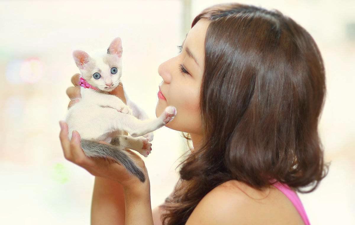 喜欢天天抱着猫咪的星座女生