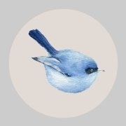 黄日华版《天龙八部》鸠摩智经典台词合集 李