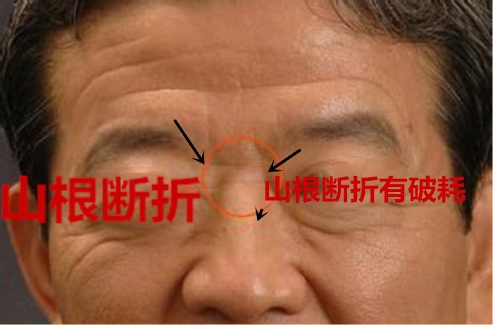 鼻子为审辨官,在面中央,鼻须梁柱端直,印堂平朗,山根与印堂连接,准头