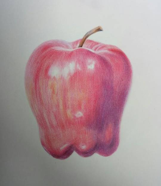 用彩铅画一颗漂亮的蛇果