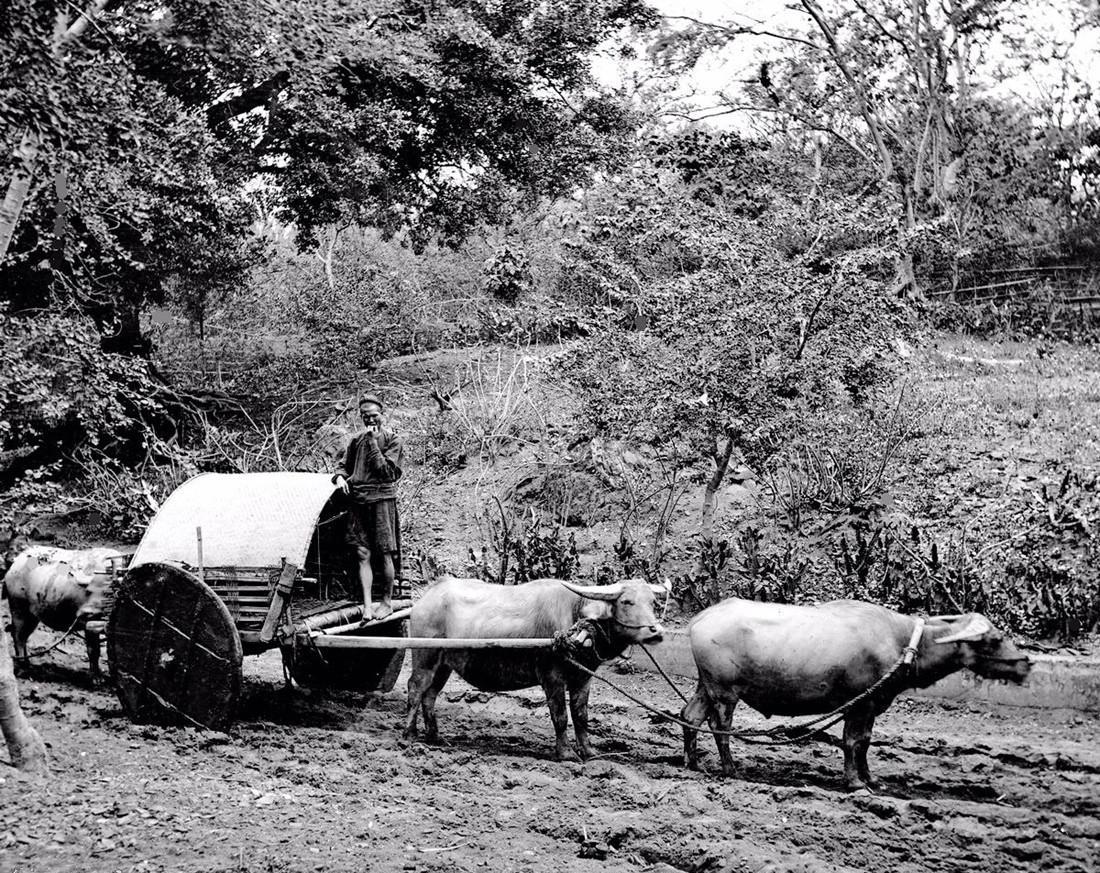 清朝灭亡前农村有多荒凉看看这些照片就明白了越看越心酸