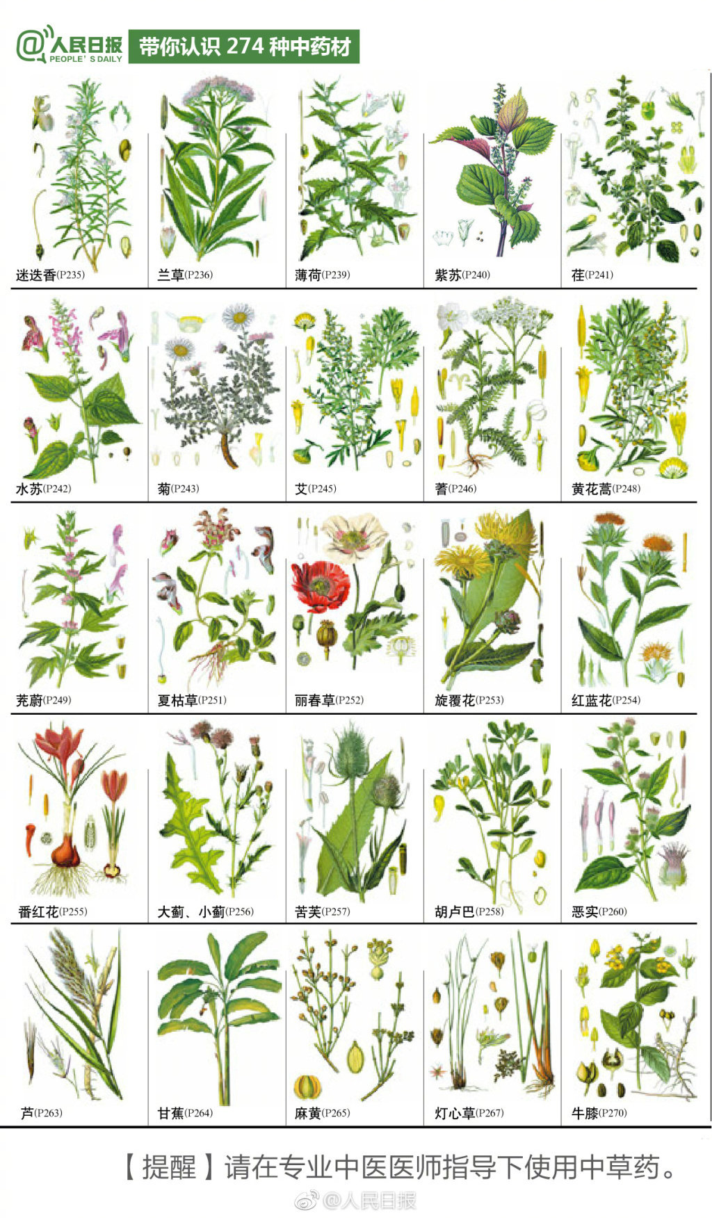 274种中草药材,值得认识收藏