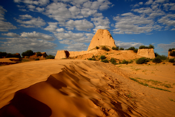 漫步驼城,畅游老街,百名新加坡游客情醉塞上|万佛楼