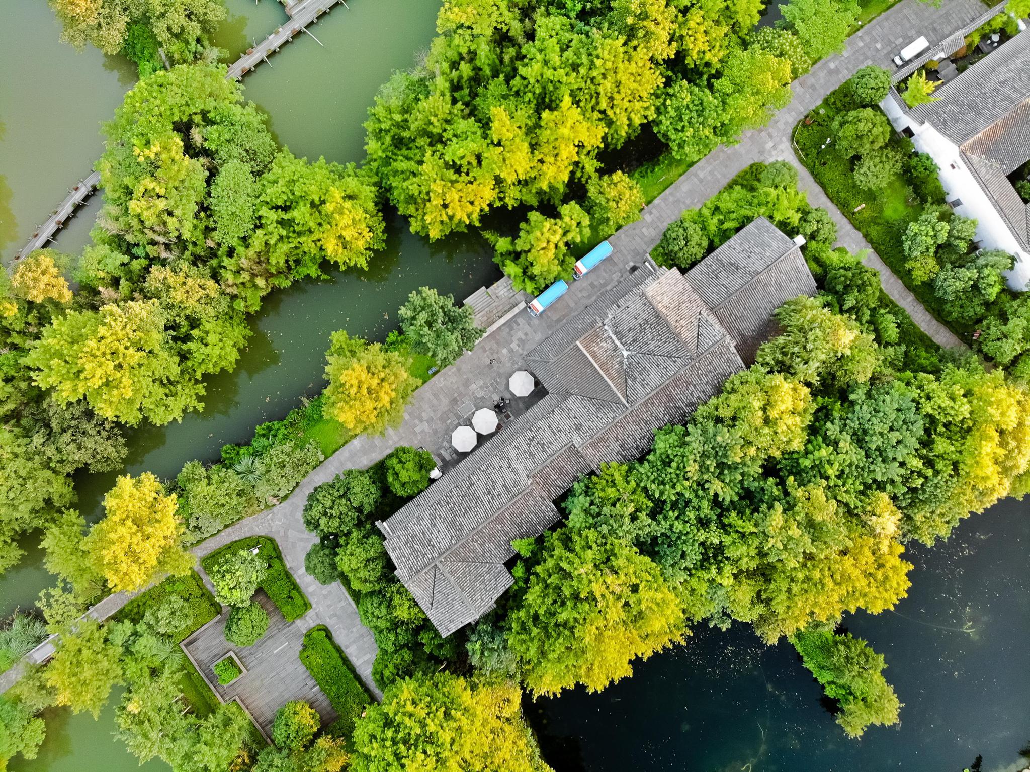 杭州西溪湿地洪园 20年前河水污染水葫芦泛滥 如今华丽变身换新颜