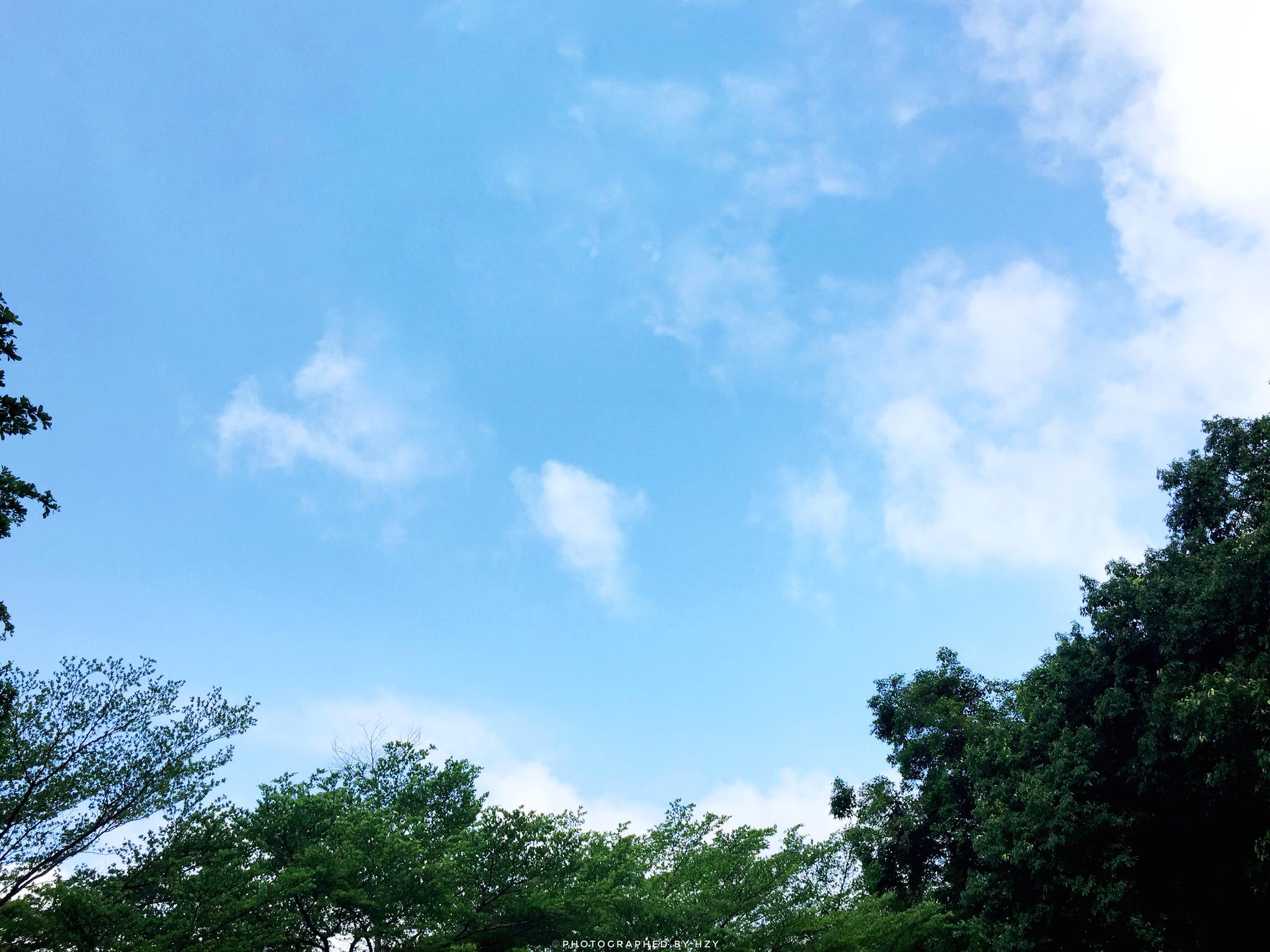那片蓝天,那片云