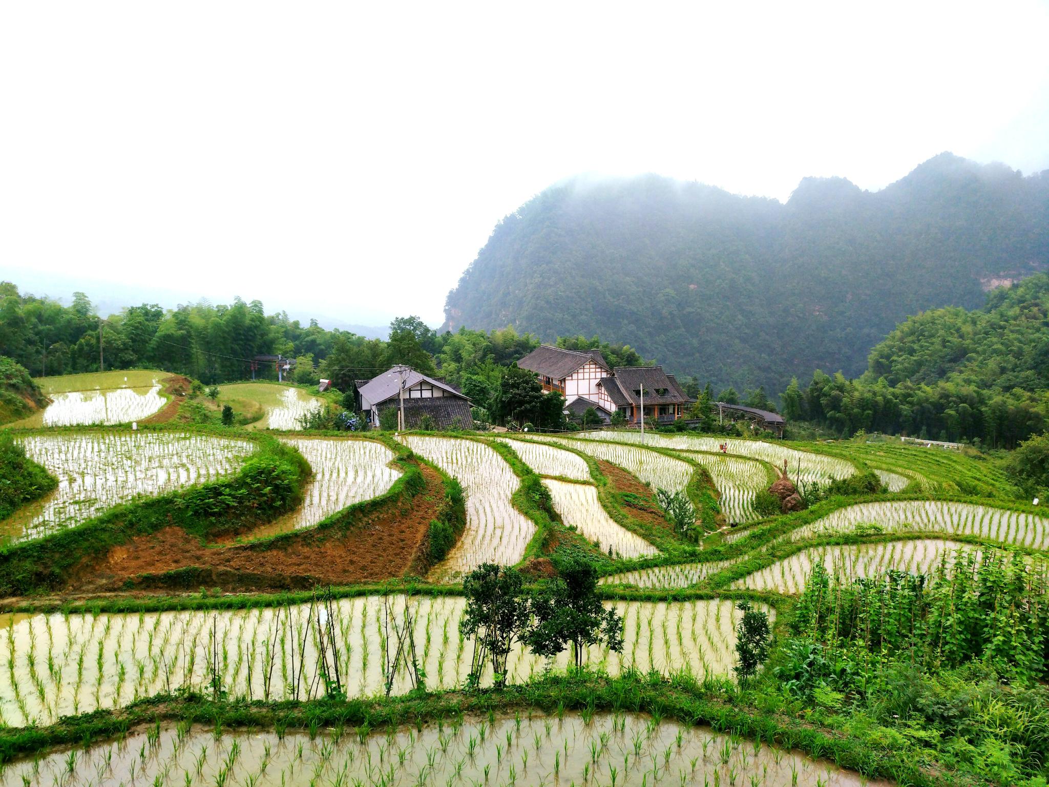 走进泸州叙永画稿溪,这里山清水碧,莺飞燕舞.这里山峦峰岩叠嶂