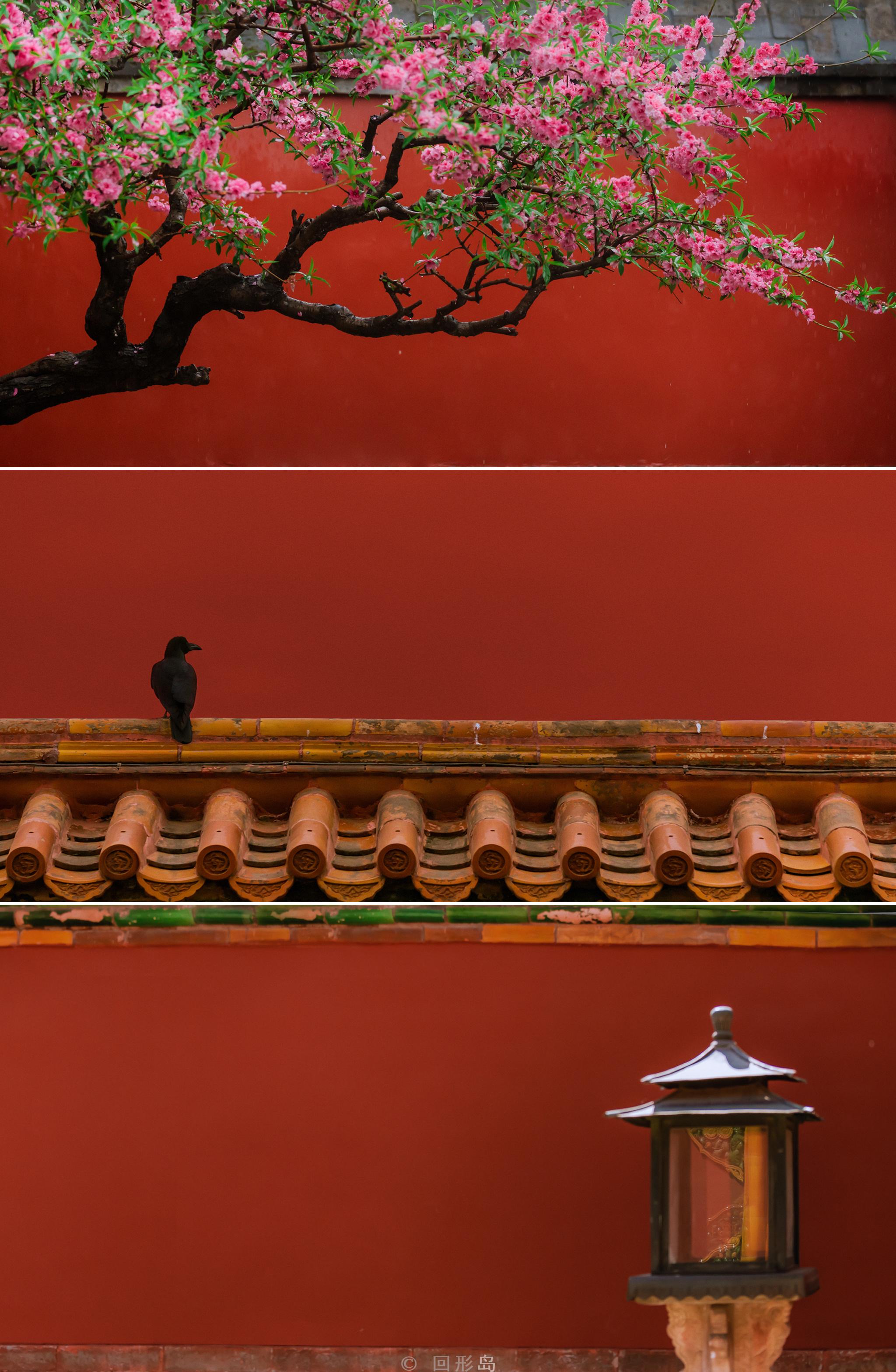 今年份的春景紫禁城