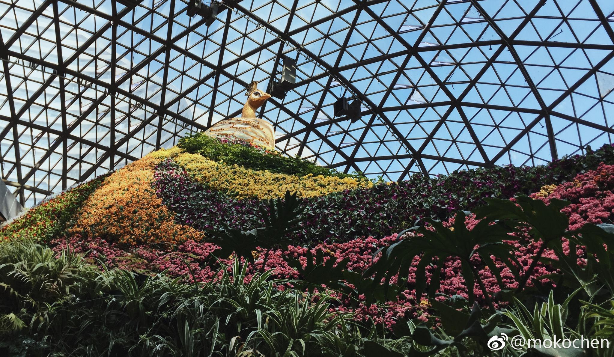 飞抵昆明,入住全国最美的花卉主题酒店—花之城豪生国际大酒店