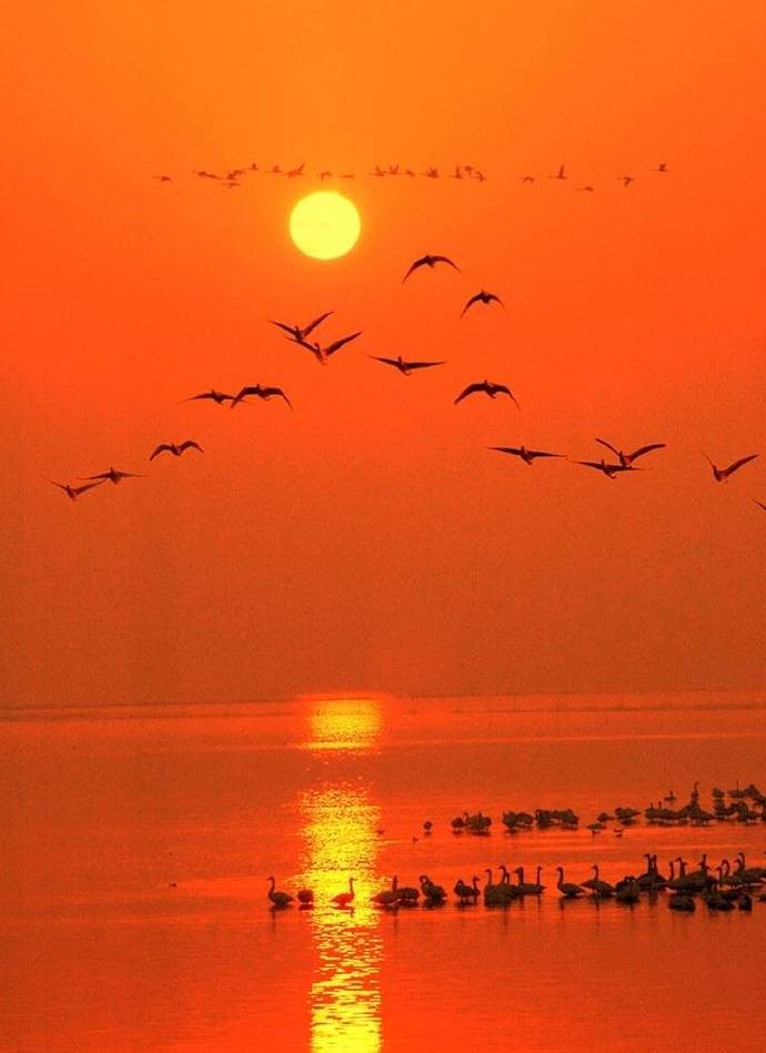 台风会到东北地区吗