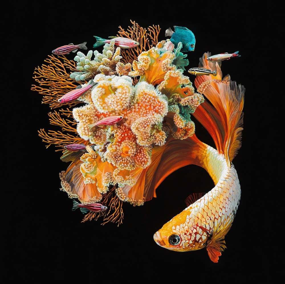 艺术家lisaericson67绘画作品斗鱼与珊瑚美