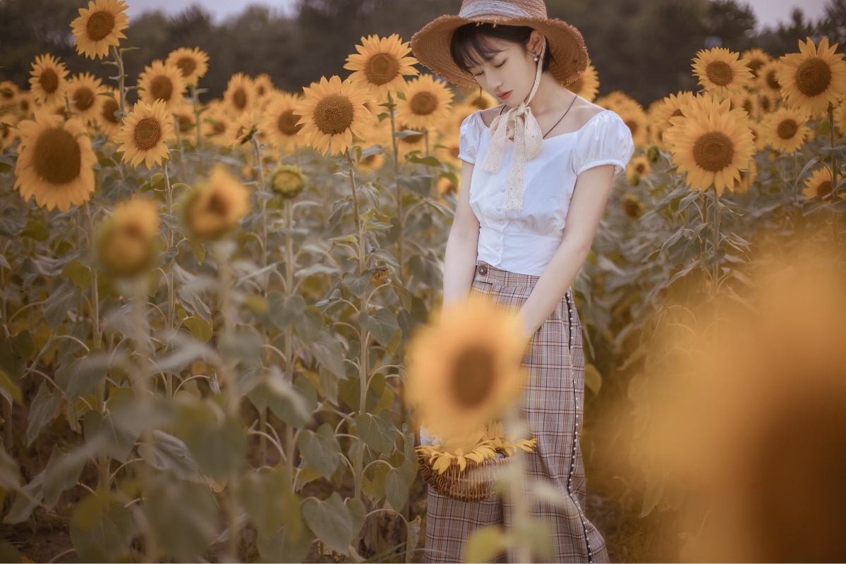 向日葵为什么跟着太阳转？