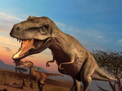 霸王龙的小手臂原来大有用处