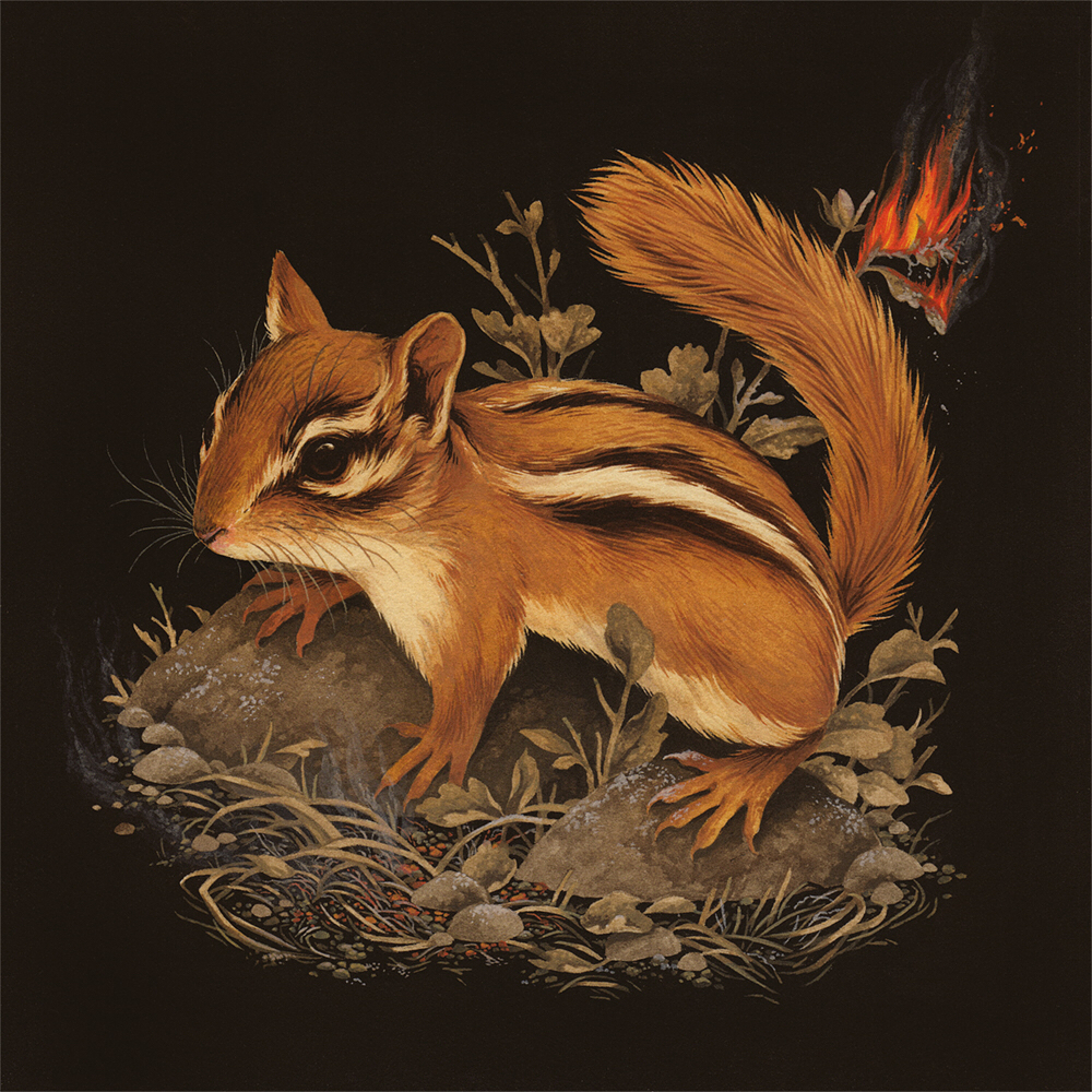 teagan white 水彩动物插画 如若不爱 / 请