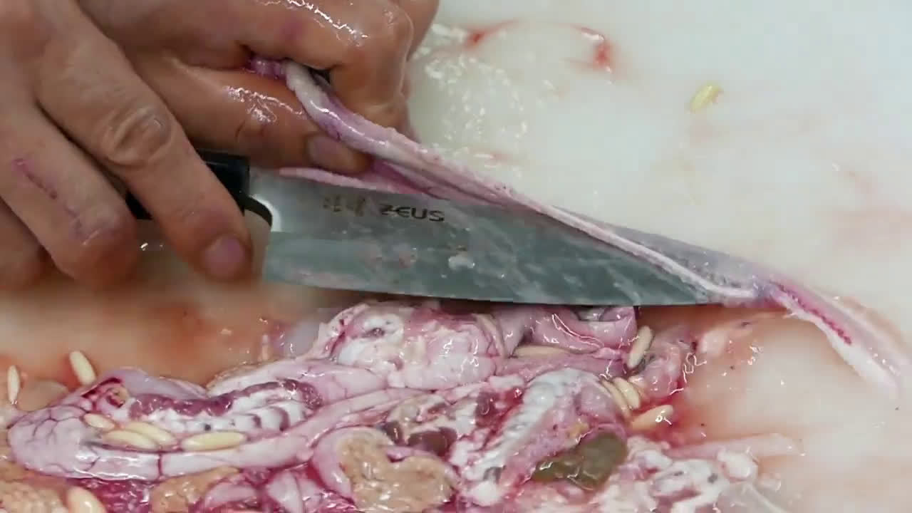 韩国街头海鲜料理盲鳗三吃 无论是厨艺还是味道都一级棒