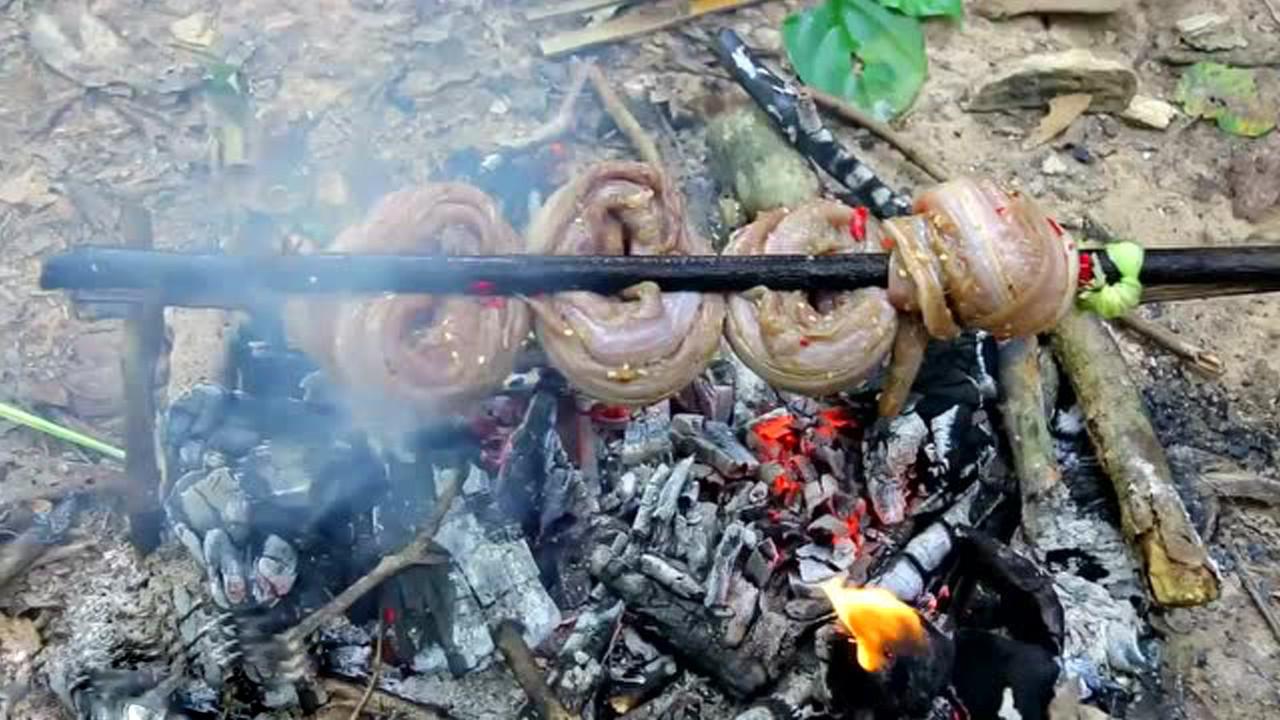 两小伙野外烤美味的水蛇这才是真正的美食