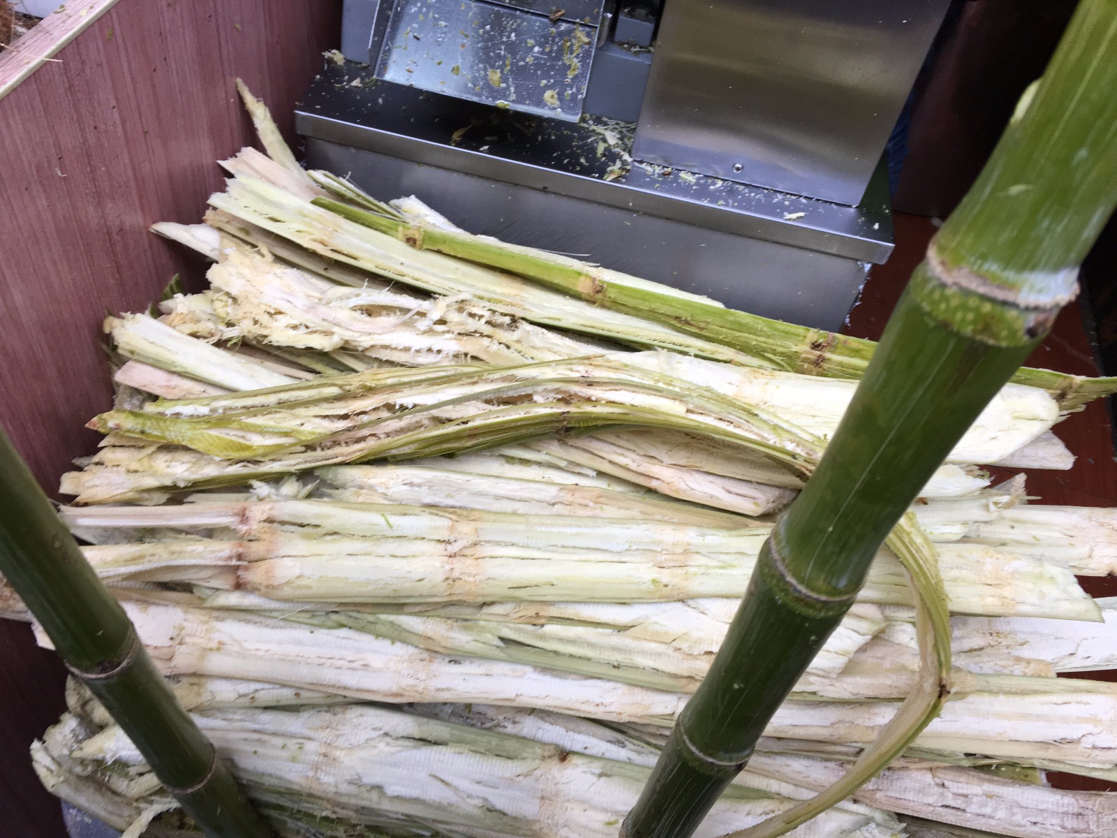 小店将"甘蔗"这样做,皮都不削直接卖,一天进货1000根不愁卖!