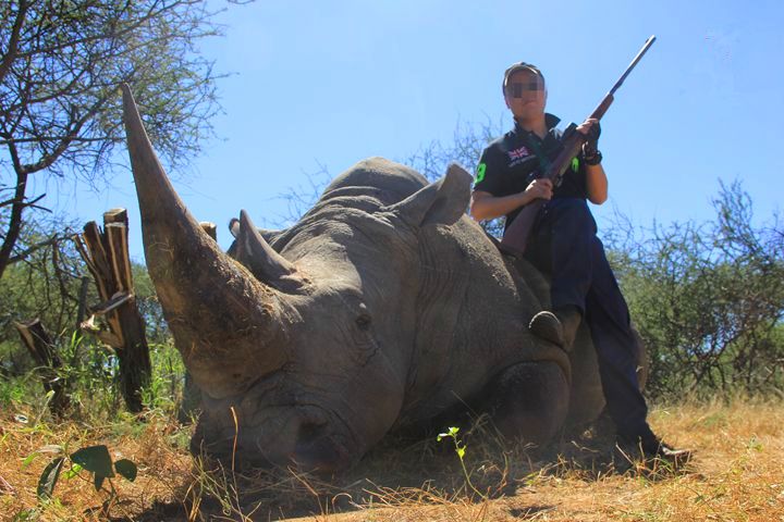 犀牛被猎人残忍偷杀的景象|犀牛|偷猎者|犀角_新浪新闻