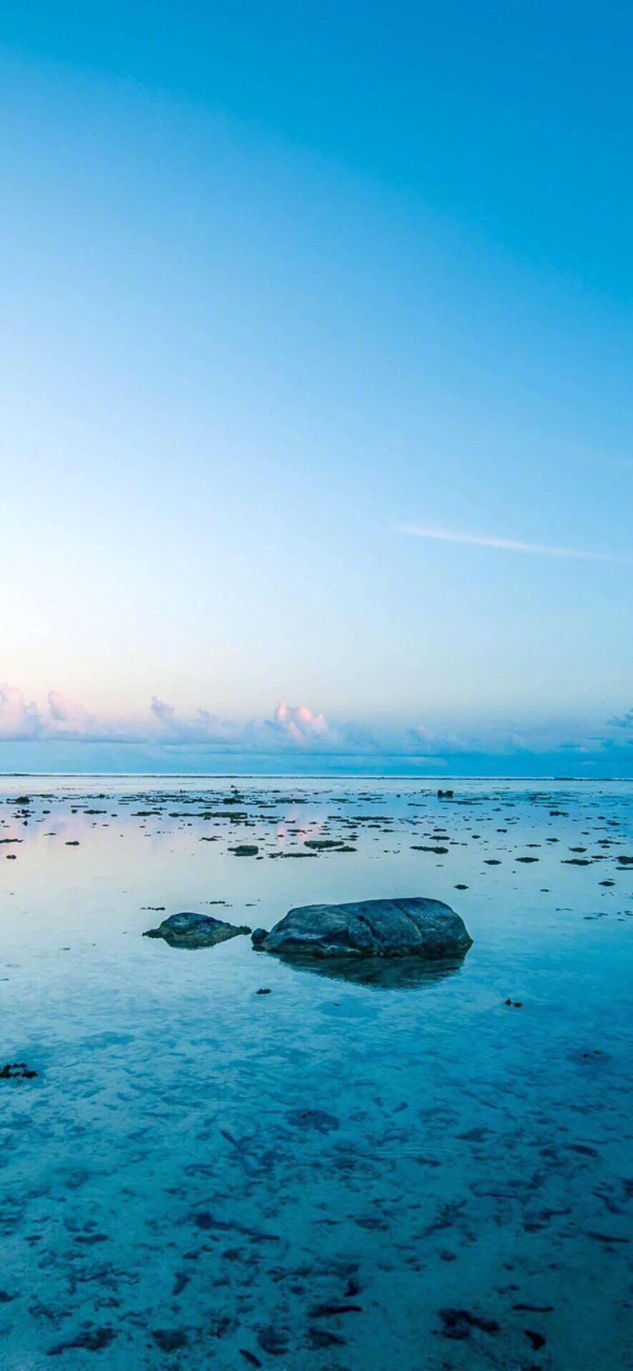 会带来好运的幸运蓝