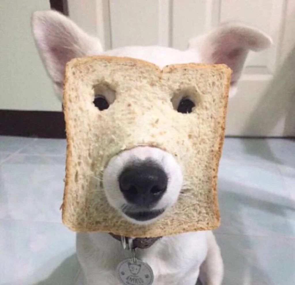 抱一组小动物搞怪头像(ε)