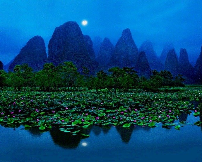 月朗星稀晴空夜,荷香风清雾霭池.晚安