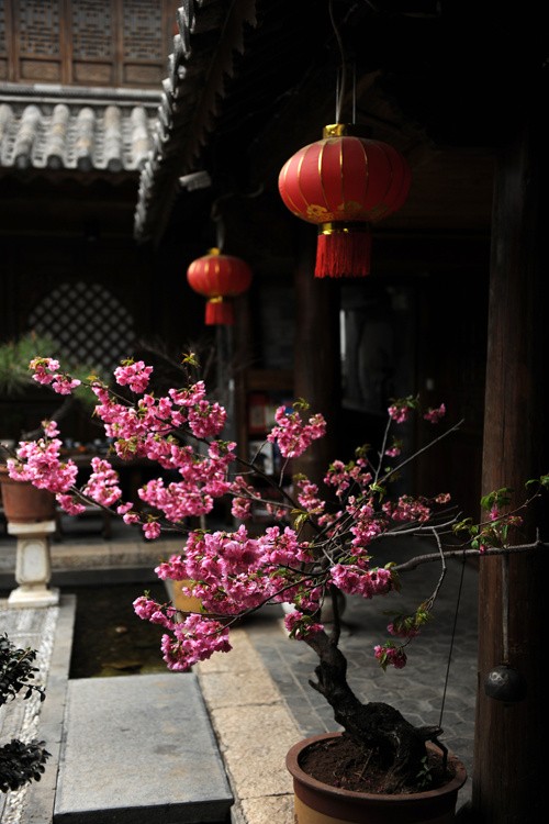 车尘马足富者趣,酒盏花枝贫者缘柳嫩春雨后,桃红朱楼前.