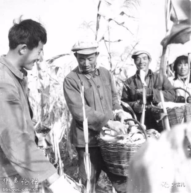 老照片∣知青上山下乡生活照|云南|知青|上山下乡_新浪新闻