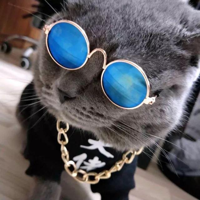 墨镜和大金链子戴上了