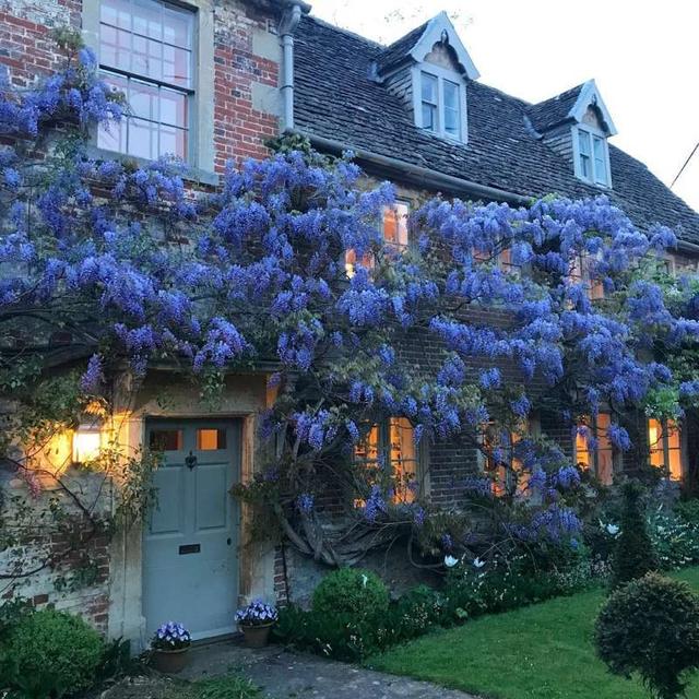 被植物施展魔法改变外观的童话房子,真想住进去!