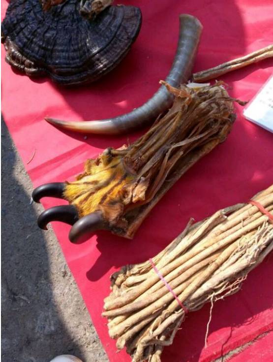 来看看到底怎么回事