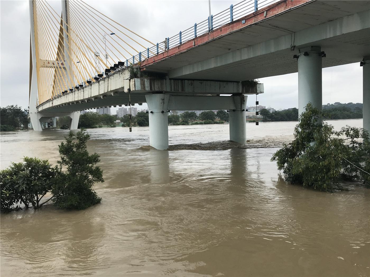 四川南充:最大洪峰过境主城区,沿江封闭市民远离,多处设施受损