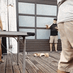 搞笑gif: 单身狗被妹子摸一下之后的眼神, 太准了