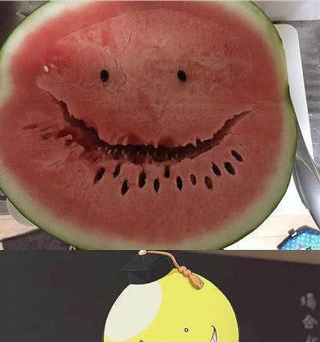 8张让人哭笑不得的图片图5的小男孩有点伤感