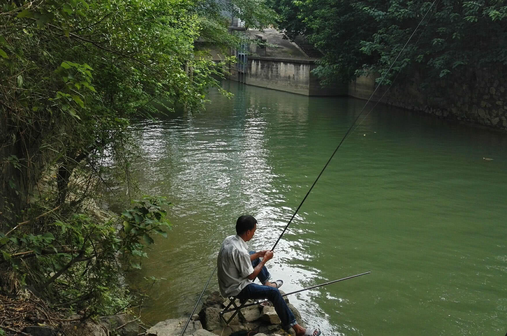 钓鱼和打牌的比较,怎样才是明智的选择