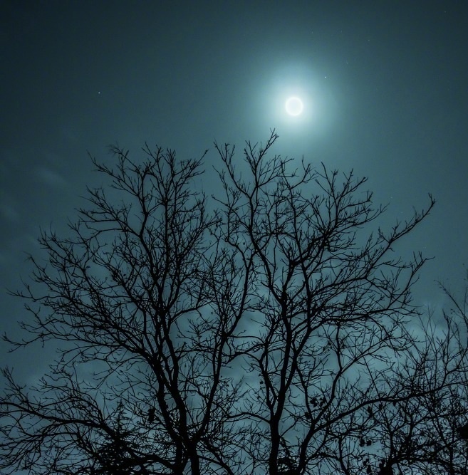 月白风清…晚安