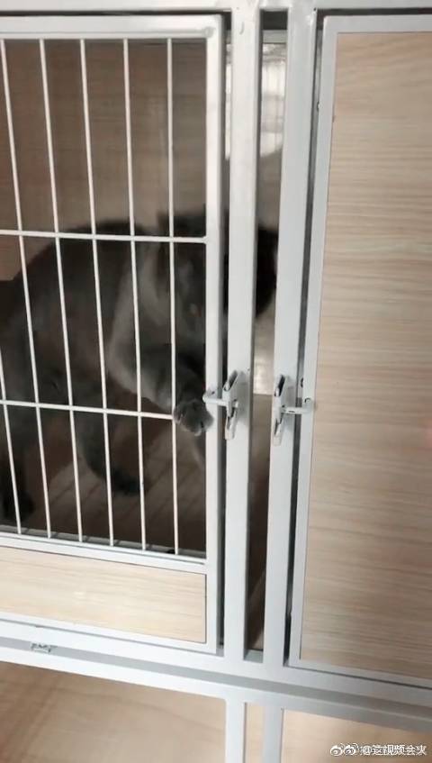 看见有人盯着还自己关上门?