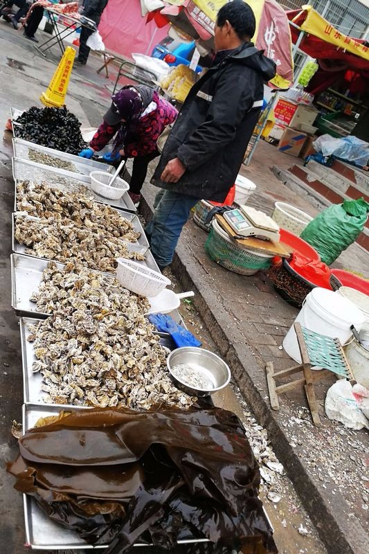 一对老夫妻的海鲜摊位上只有贝类海鲜和海带.