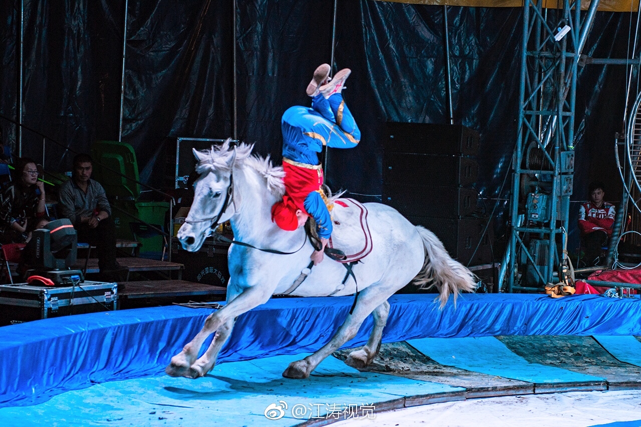 武汉花博汇除了游园赏花海之外请不要错过精彩的马戏盛宴