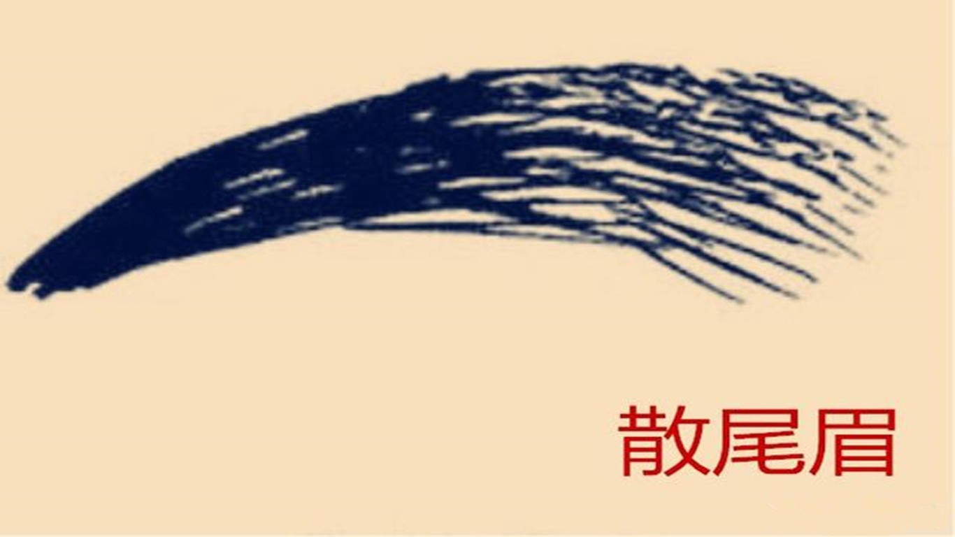 面相:眉毛兄弟宫解释|眉毛|兄弟宫|面相_新浪新闻