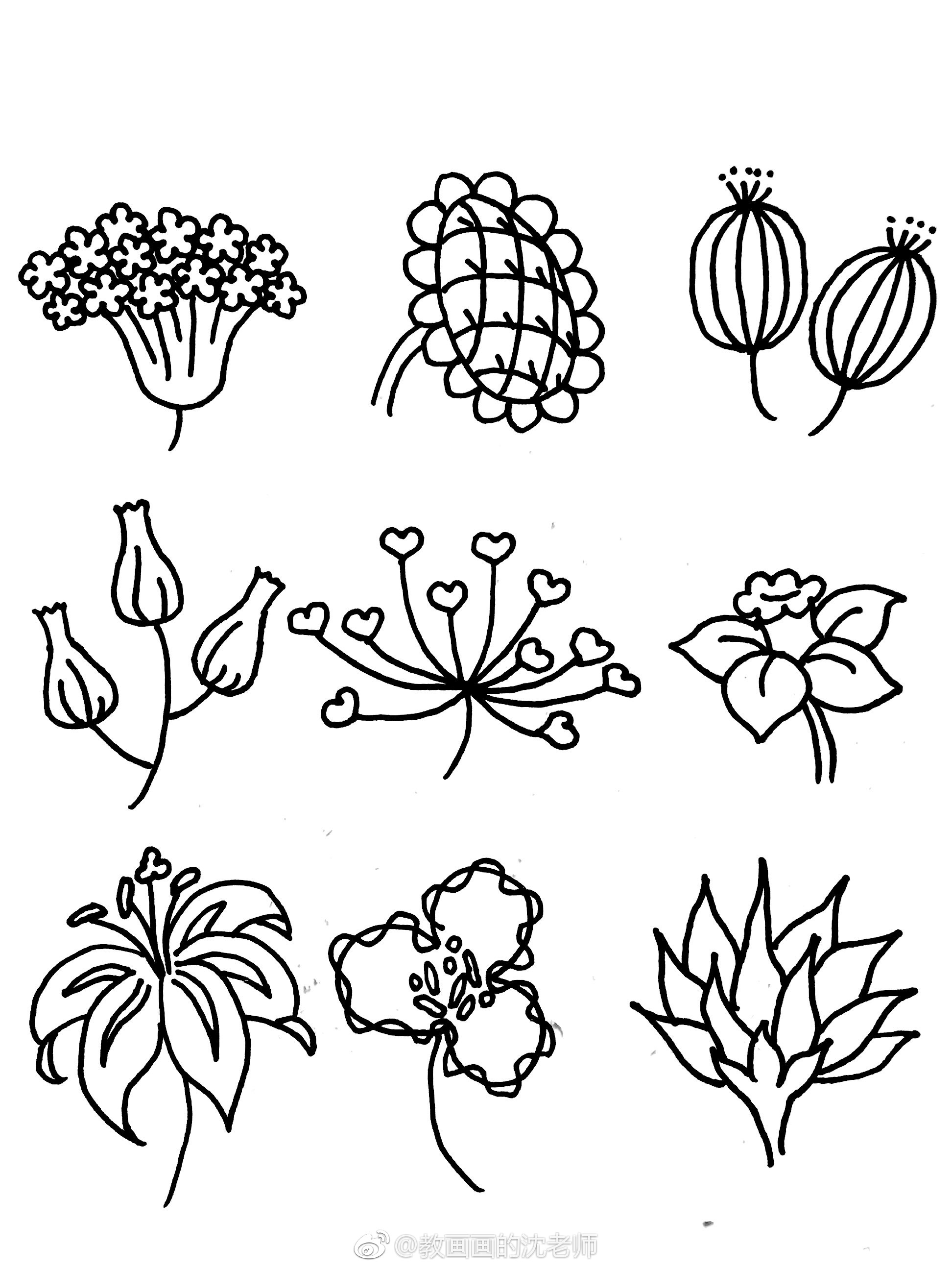 花朵简笔画手绘手帐素材投稿